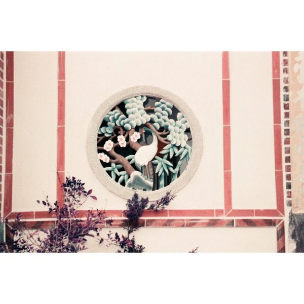 成功攝影 全新 Lomography Simple Use Camera 400/36 Color Negative 紫色調 負片 即可拍 可重新上片：圖片 5